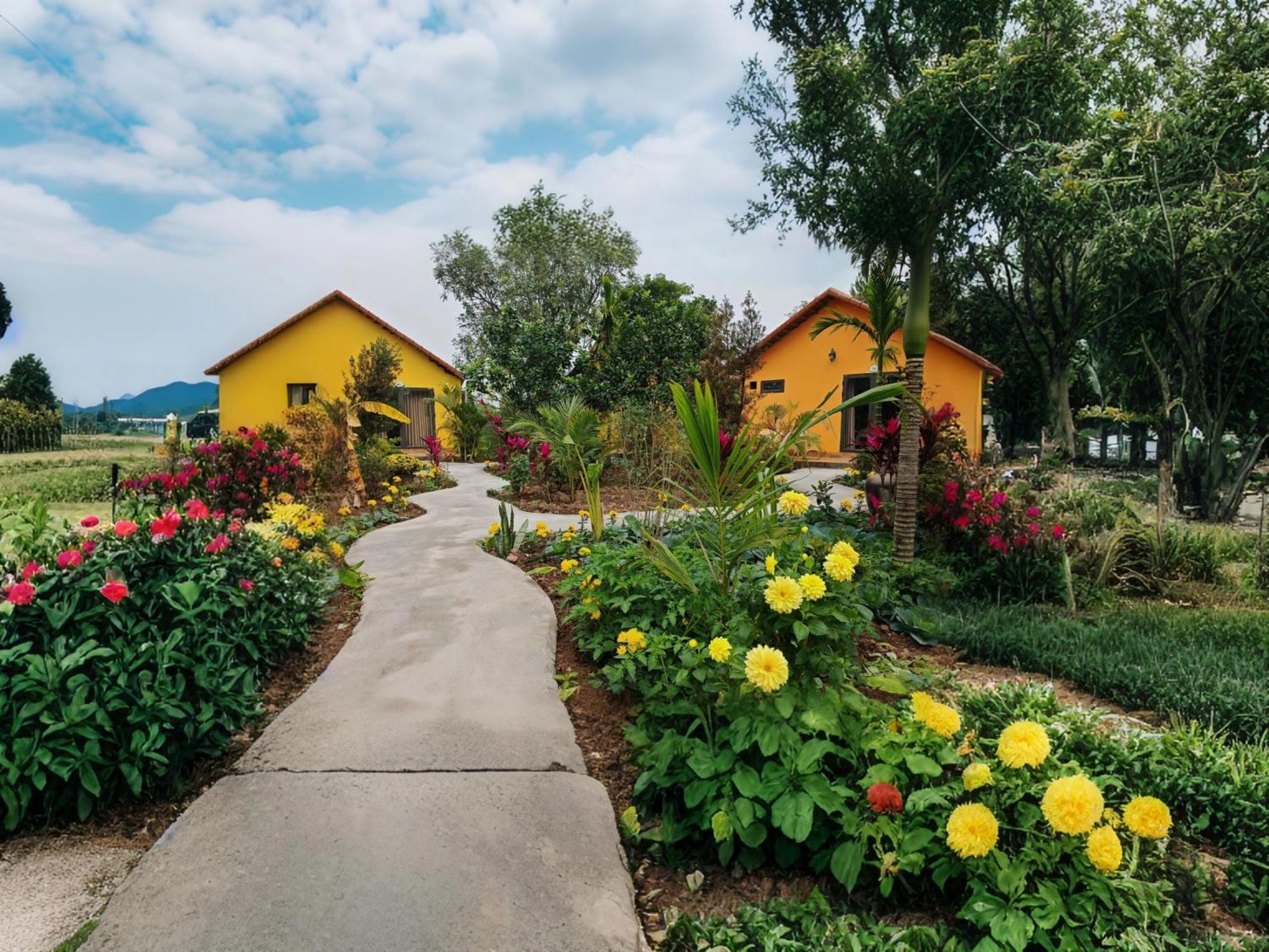Ninh Binh Peaceful Retreat Vila Exterior foto